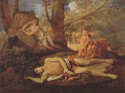 Nicolas Poussin E-cho and Narcissus (mk08) Norge oil painting art